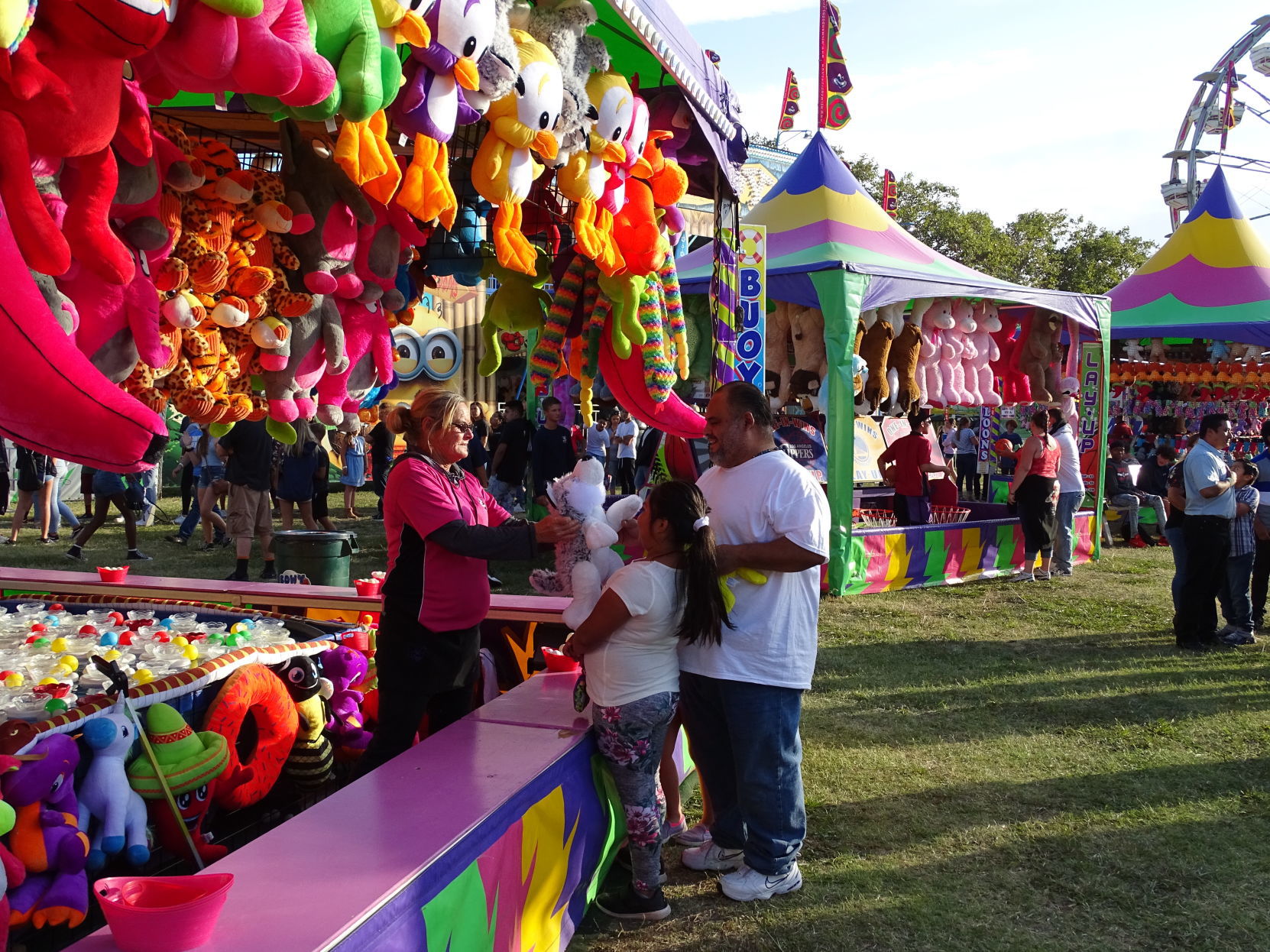 Napa Town & Country Fair 2019